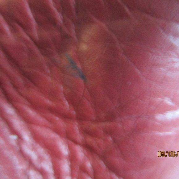 💖Laura Scott maroon purse 50% OFF this item - Picture 6 of 10